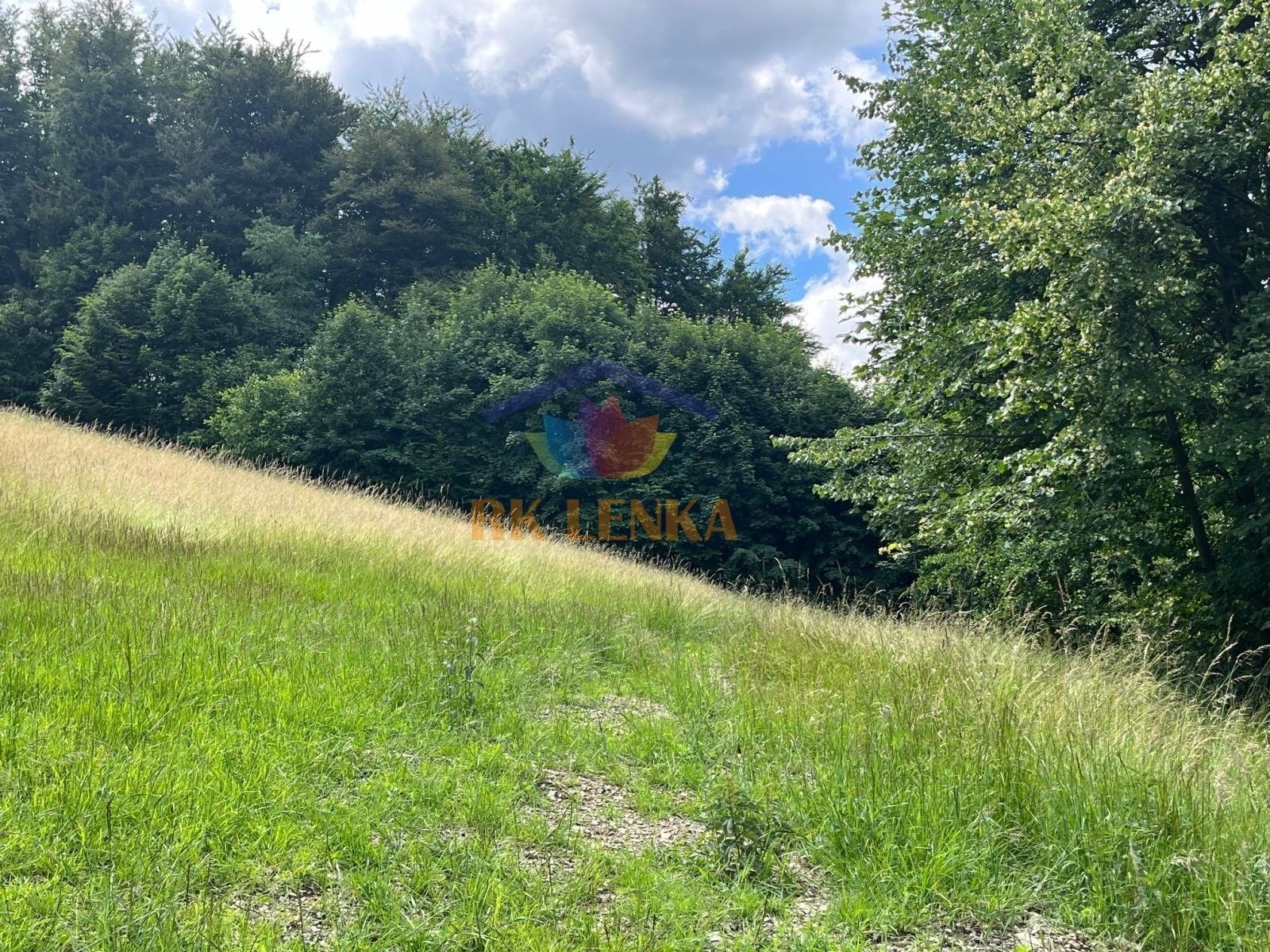 Prodej pozemku 5654 m² - foto 5