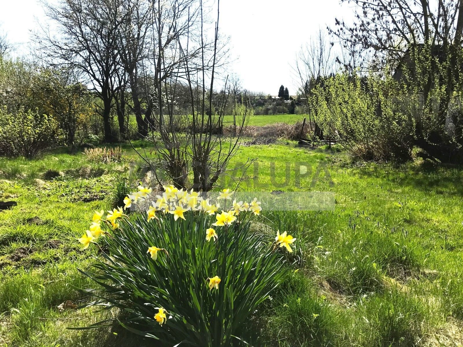 Prodej domu 80 m² - foto 19