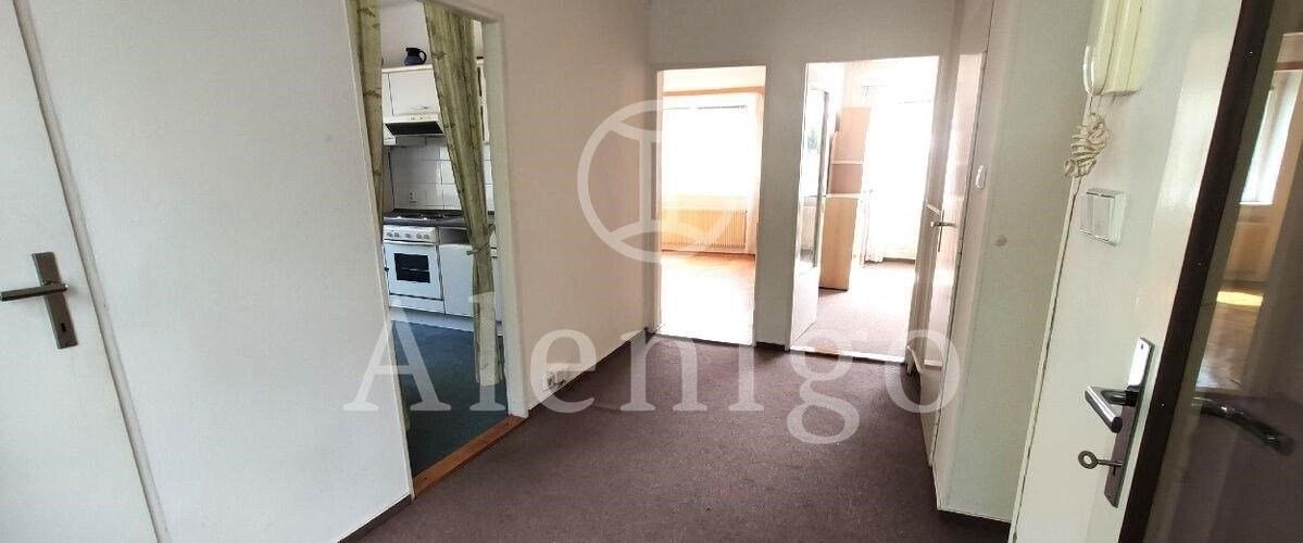 Prodej domu 275 m² - foto 6