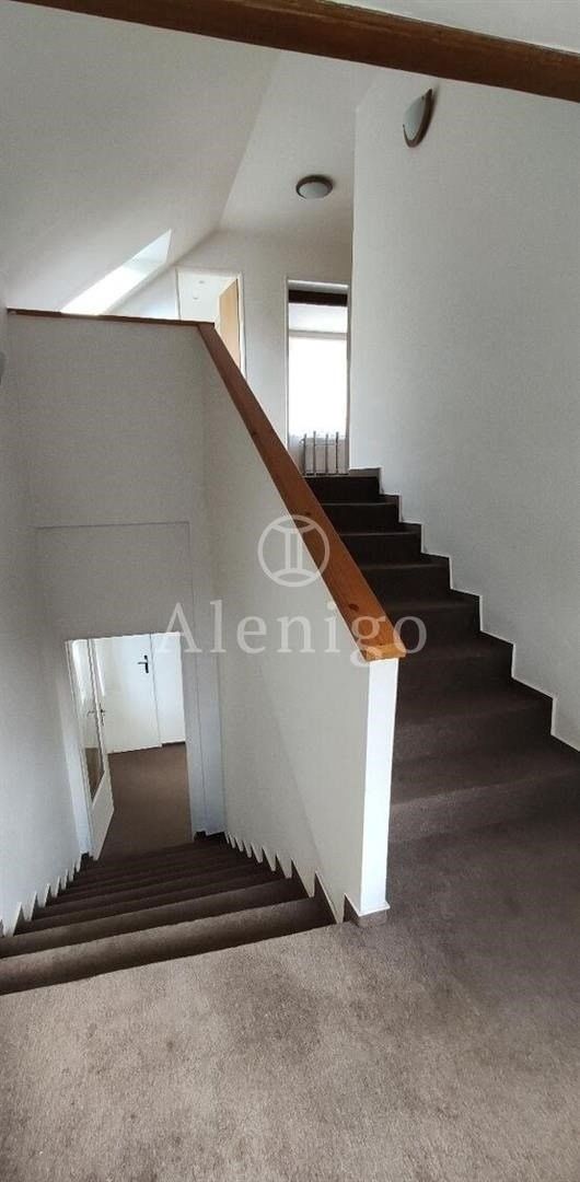 Prodej domu 275 m² - foto 10