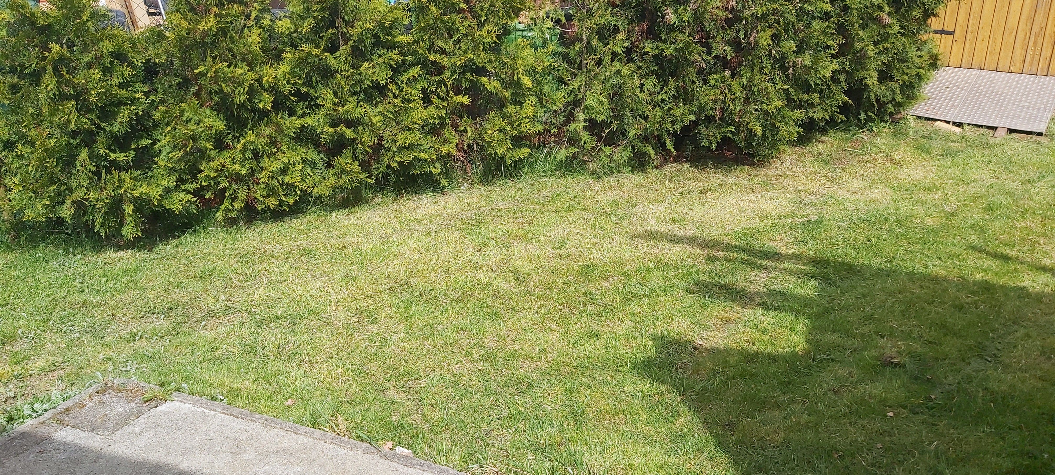 Pronájem nemovitosti 15 m² - foto 6