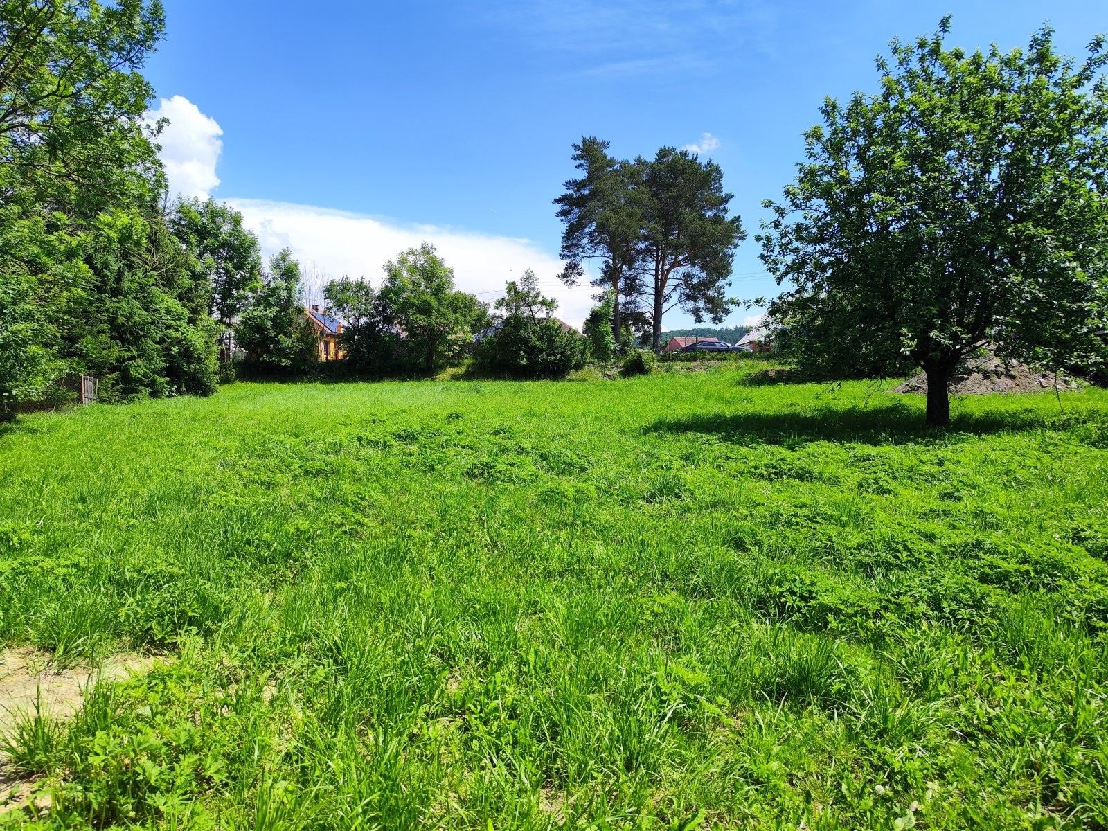 Prodej pozemku 1655 m² - foto 1