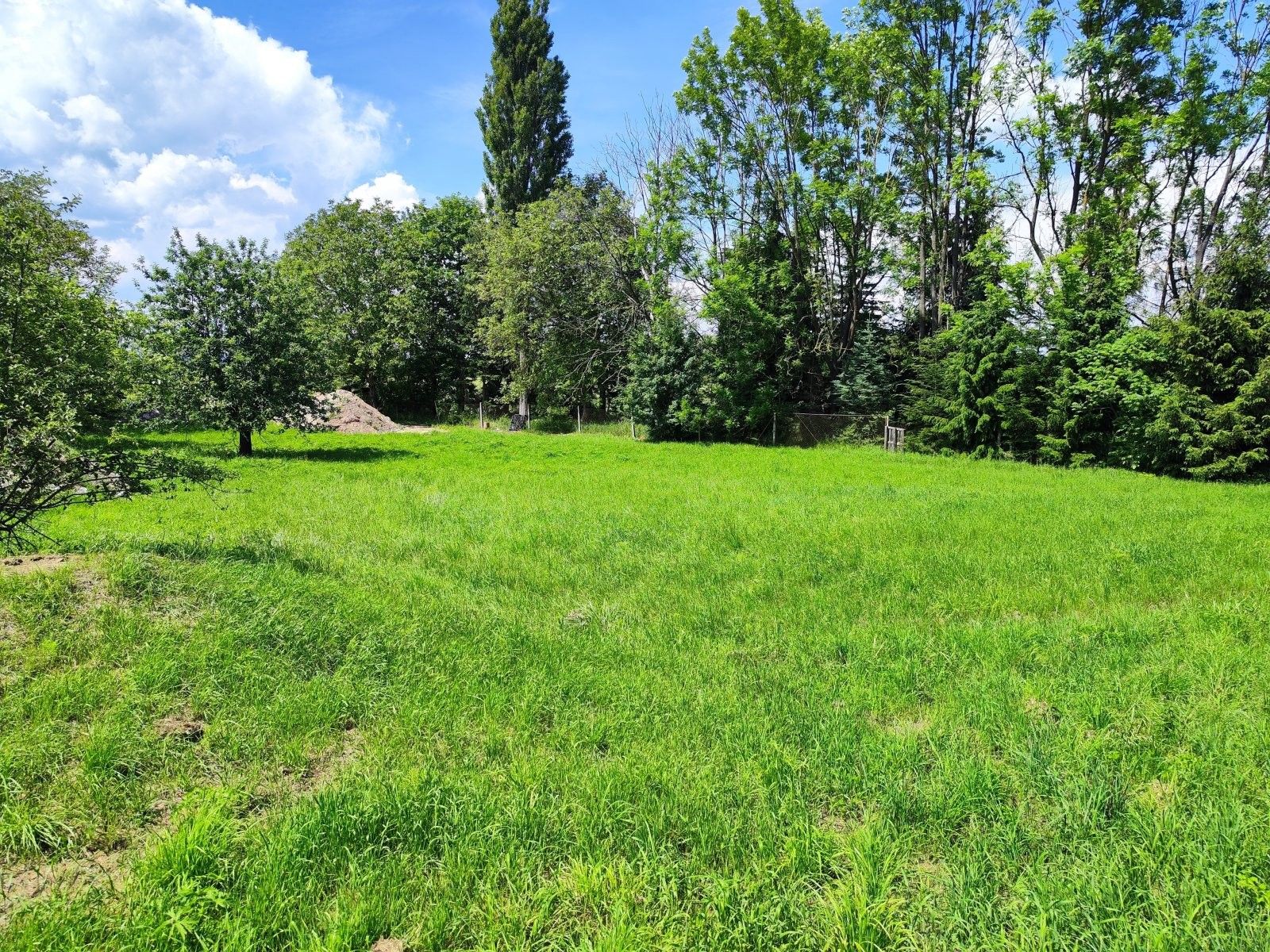 Prodej pozemku 1655 m² - foto 6