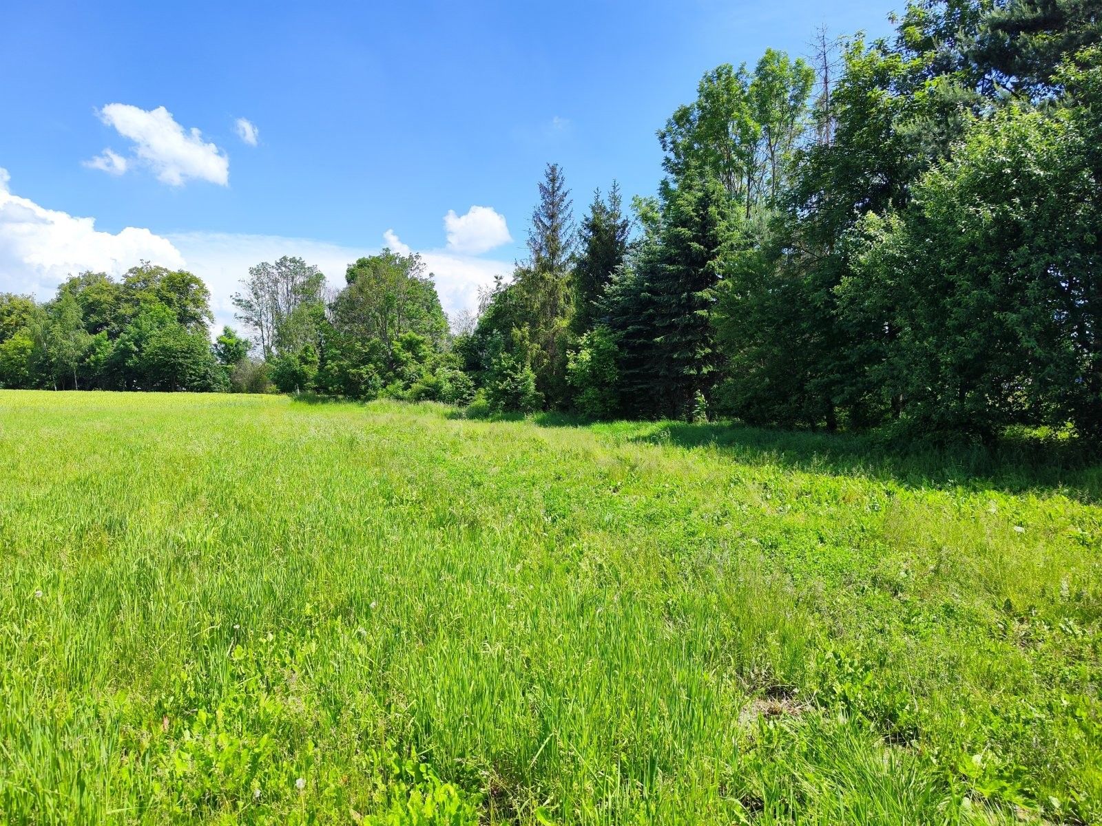 Prodej pozemku 1655 m² - foto 9