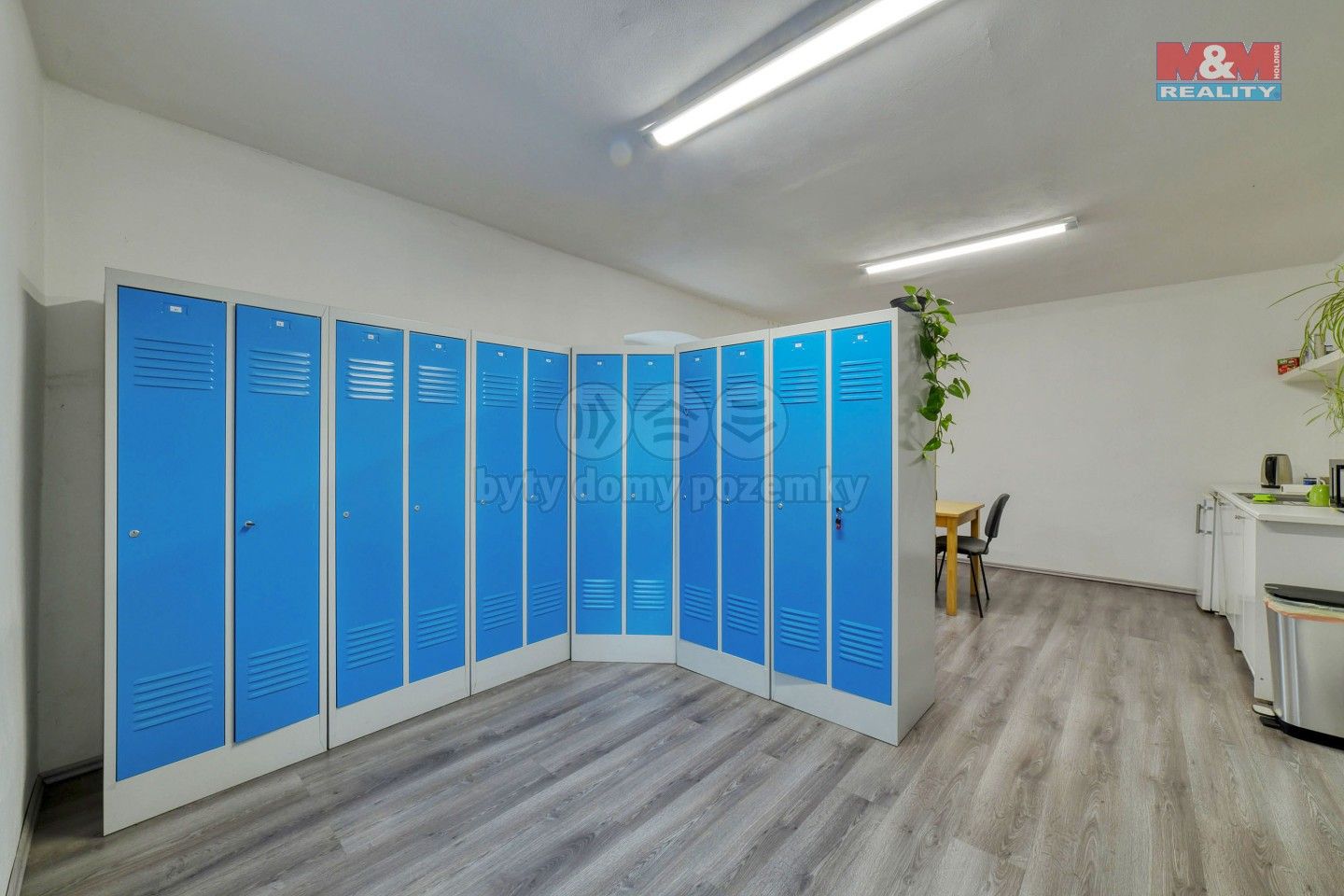 Prodej komerčního prostoru 745 m² - foto 14