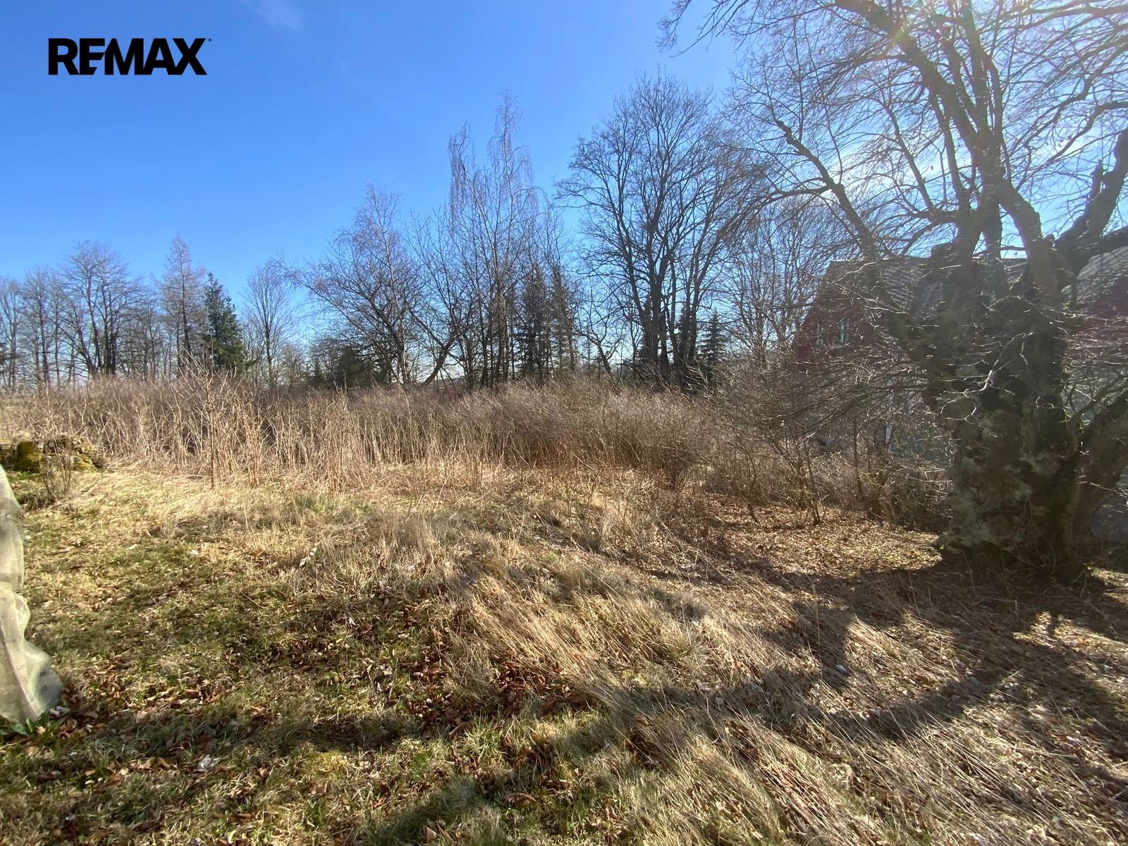 Prodej nemovitosti 252 m² - foto 4