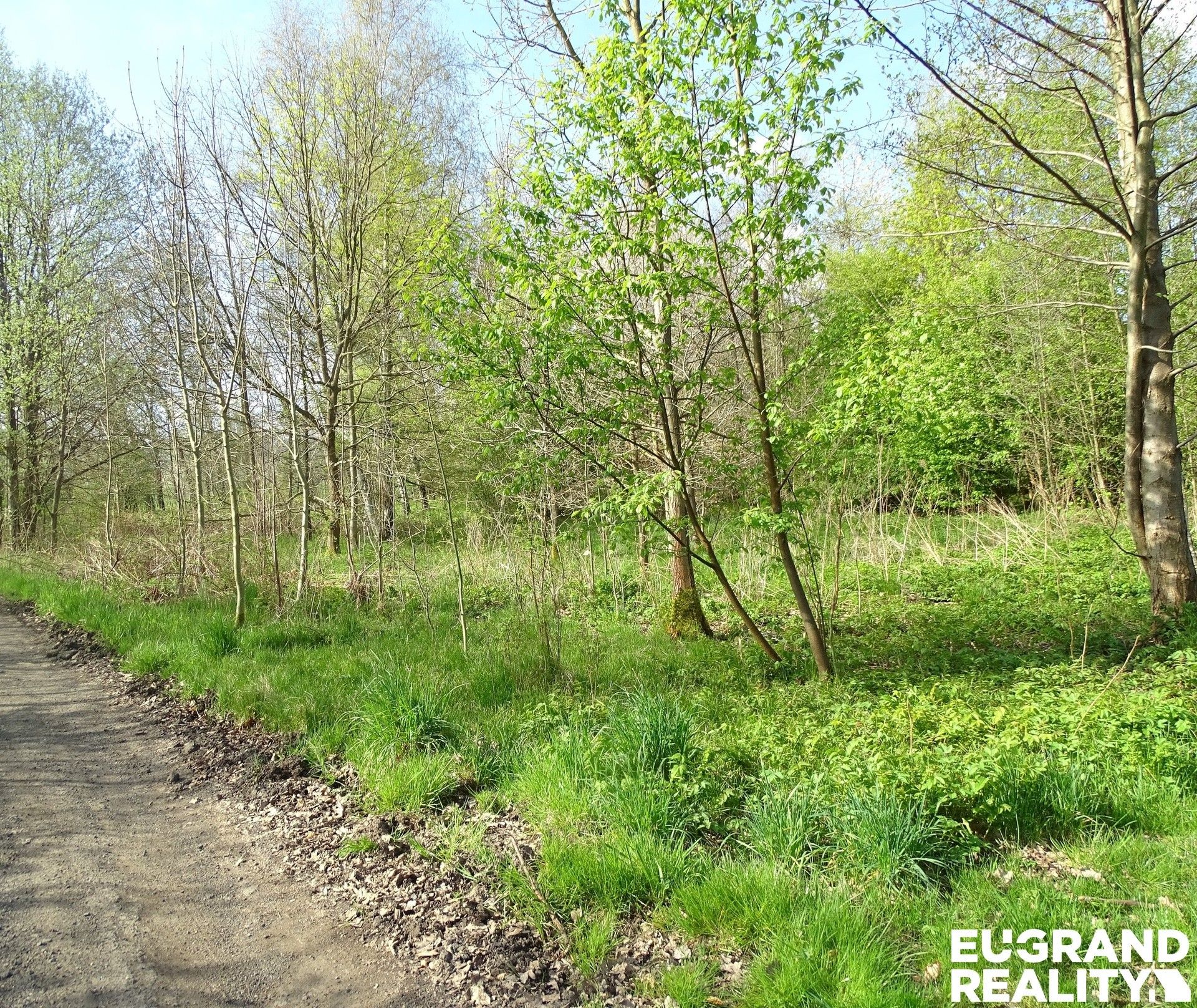 Prodej nemovitosti 800 m² - foto 3