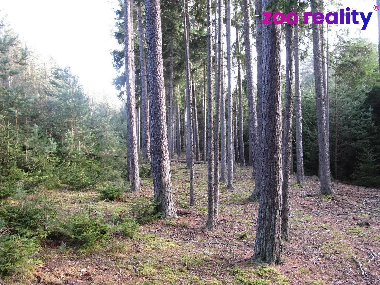 Prodej pozemku 4056 m² - foto 5