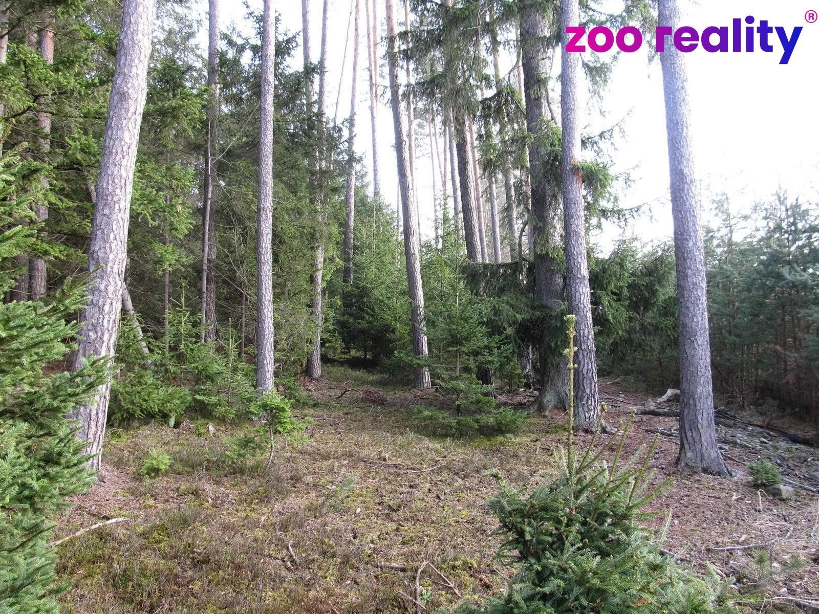 Prodej pozemku 4056 m² - foto 4