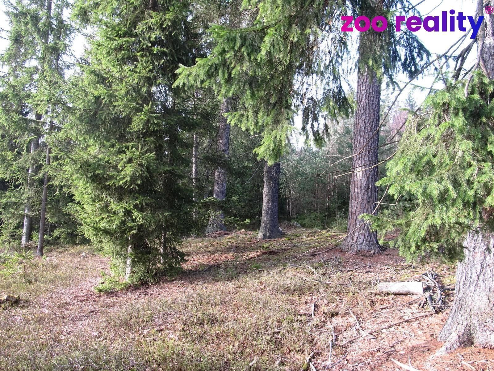 Prodej pozemku 4056 m² - foto 3