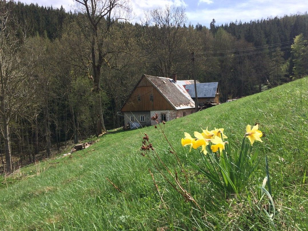Pronájem domu 80 m² - foto 1