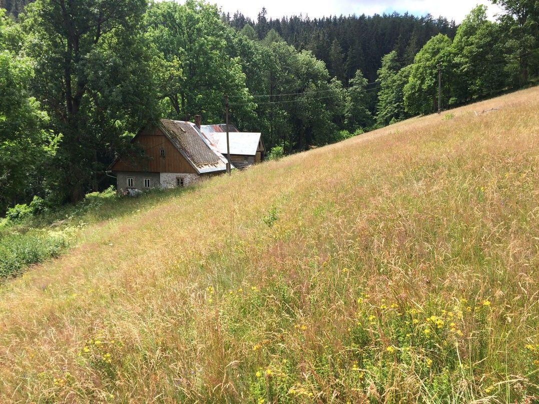 Pronájem domu 80 m² - foto 4