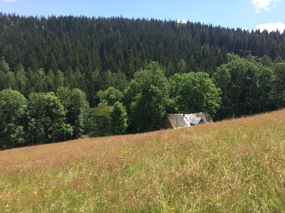 Pronájem domu 80 m² - foto 9
