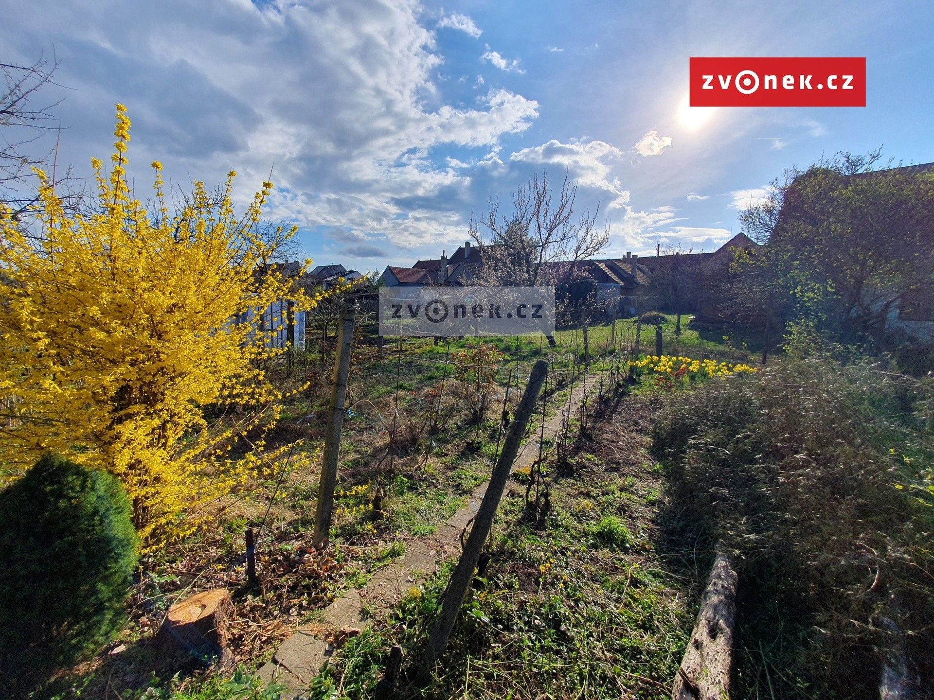 Prodej domu 285 m² - foto 4