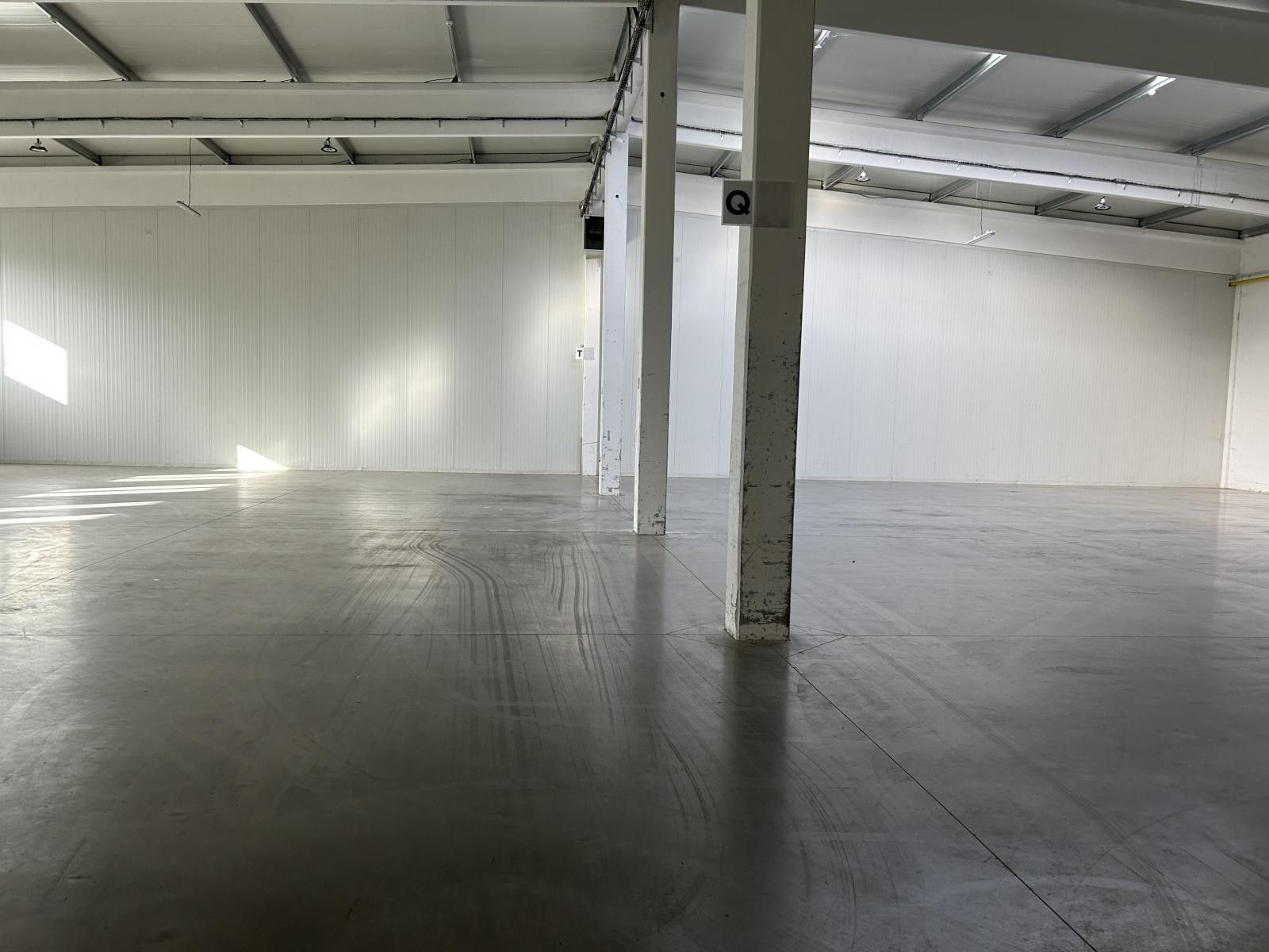 Pronájem komerčního prostoru 3000 m² - foto 4