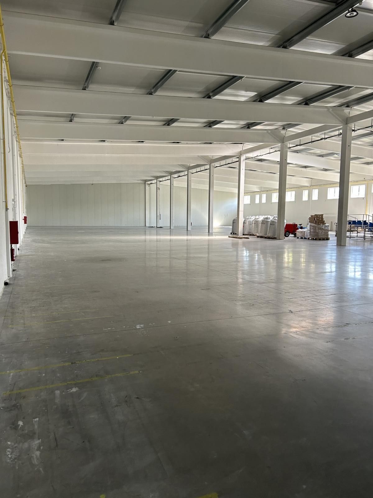 Pronájem komerčního prostoru 3000 m² - foto 8