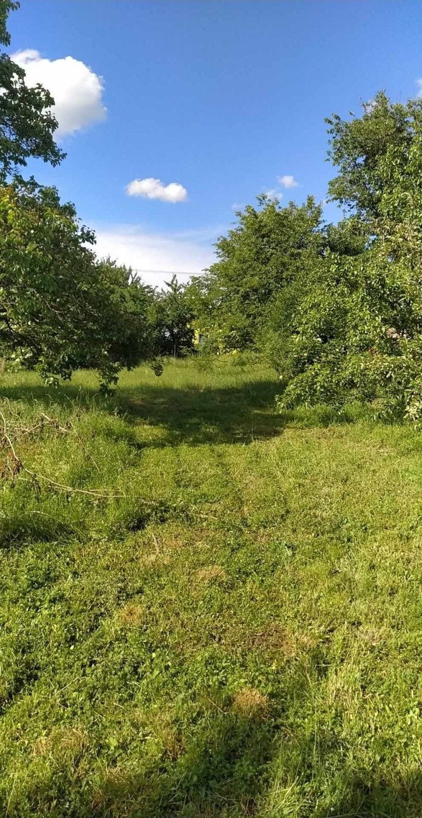 Prodej pozemku 659 m² - foto 1