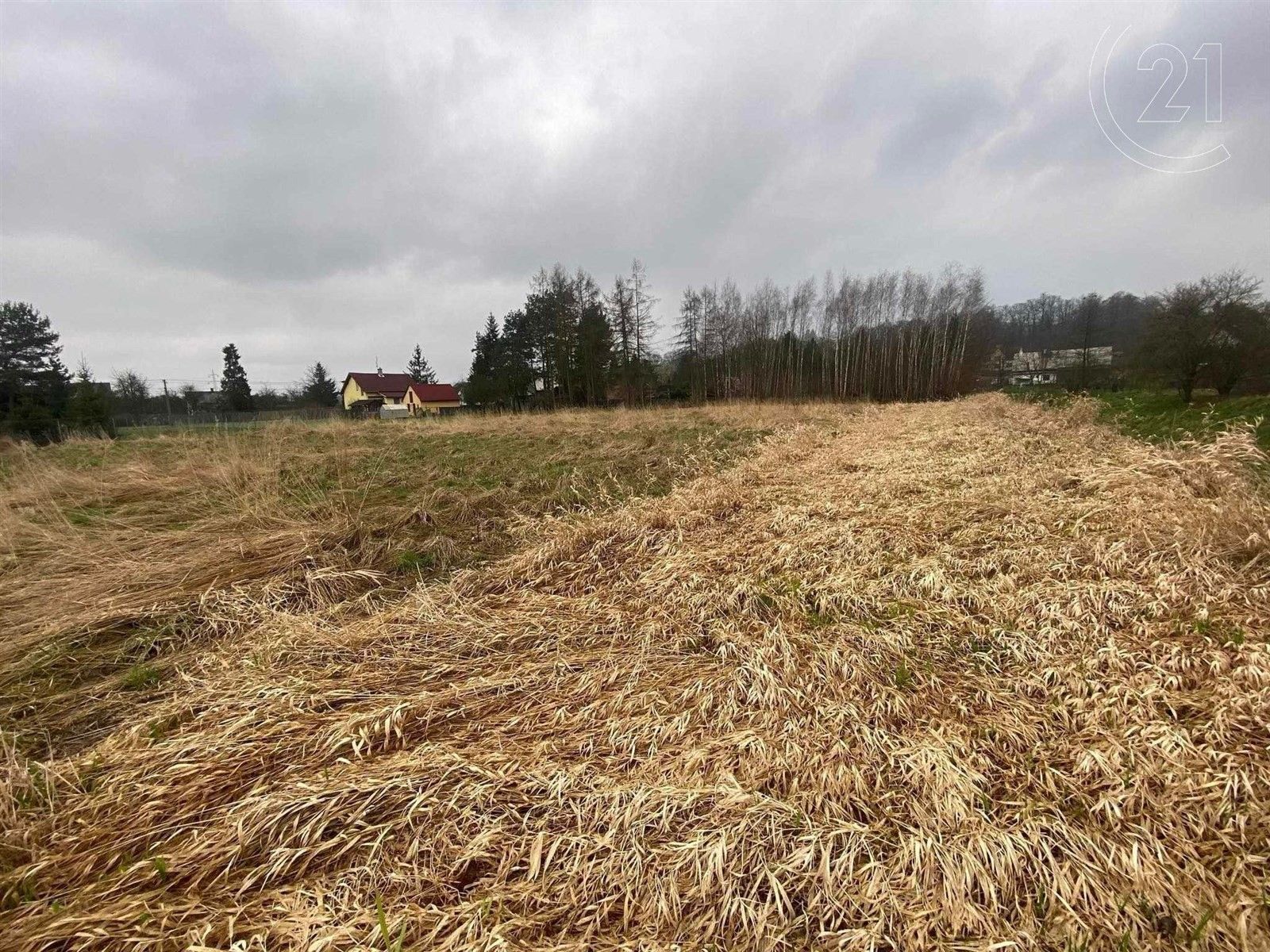 Prodej pozemku 3842 m² - foto 5