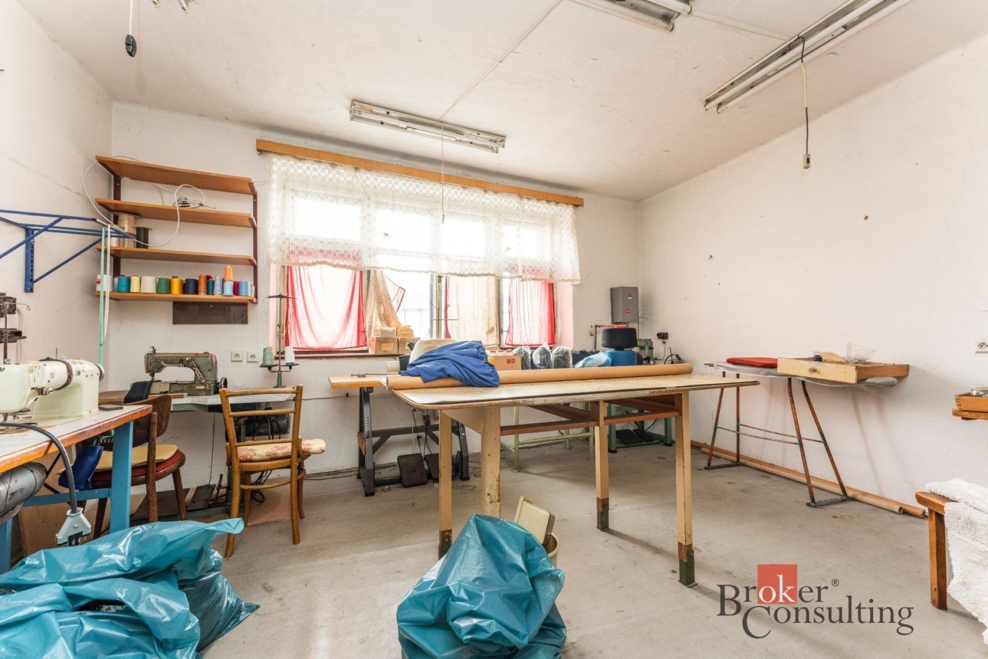 Prodej nemovitosti 700 m² - foto 12