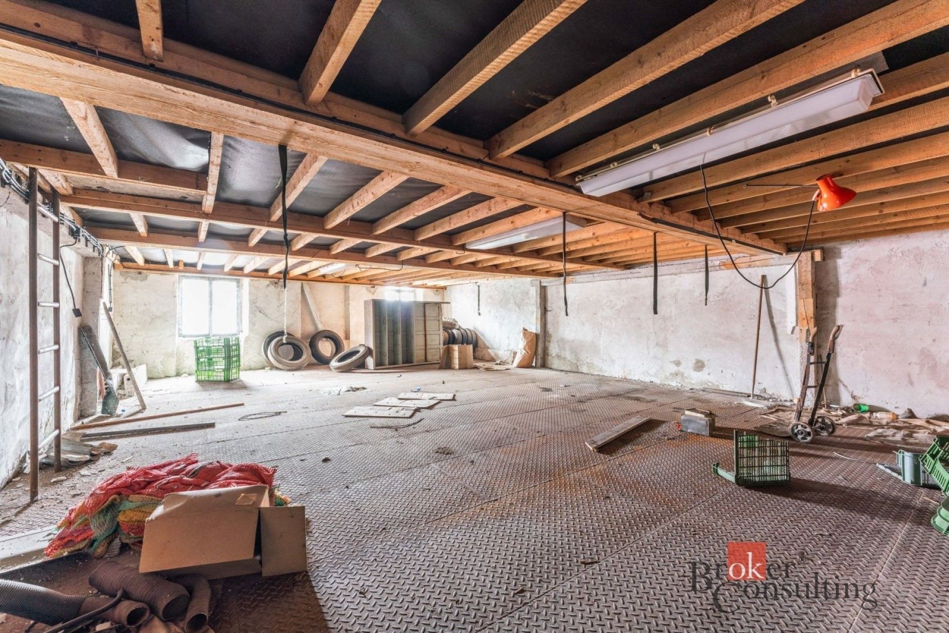 Prodej nemovitosti 700 m² - foto 9