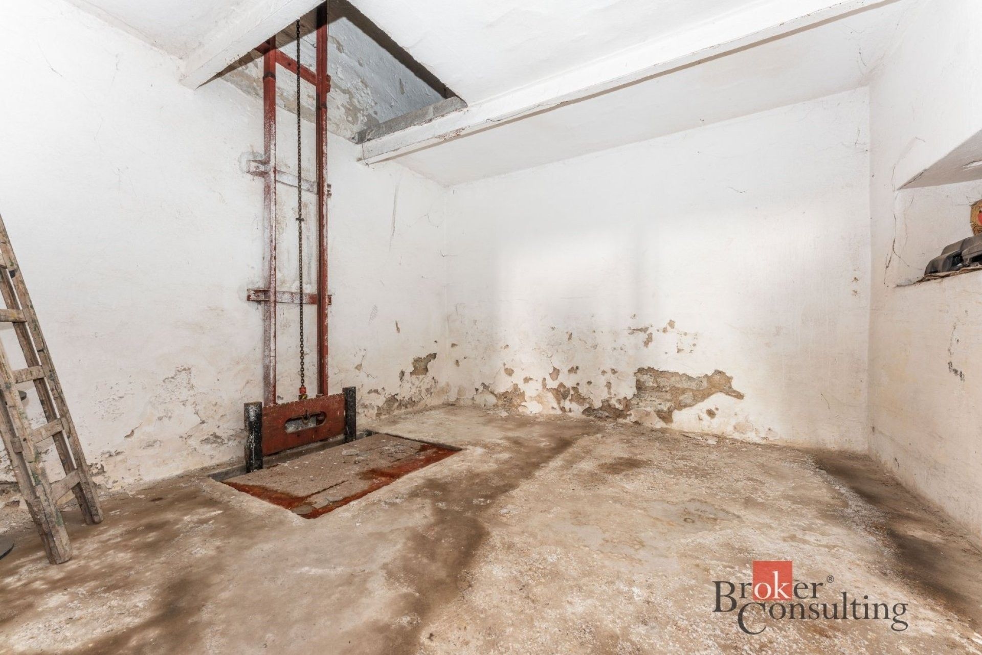 Prodej nemovitosti 700 m² - foto 13