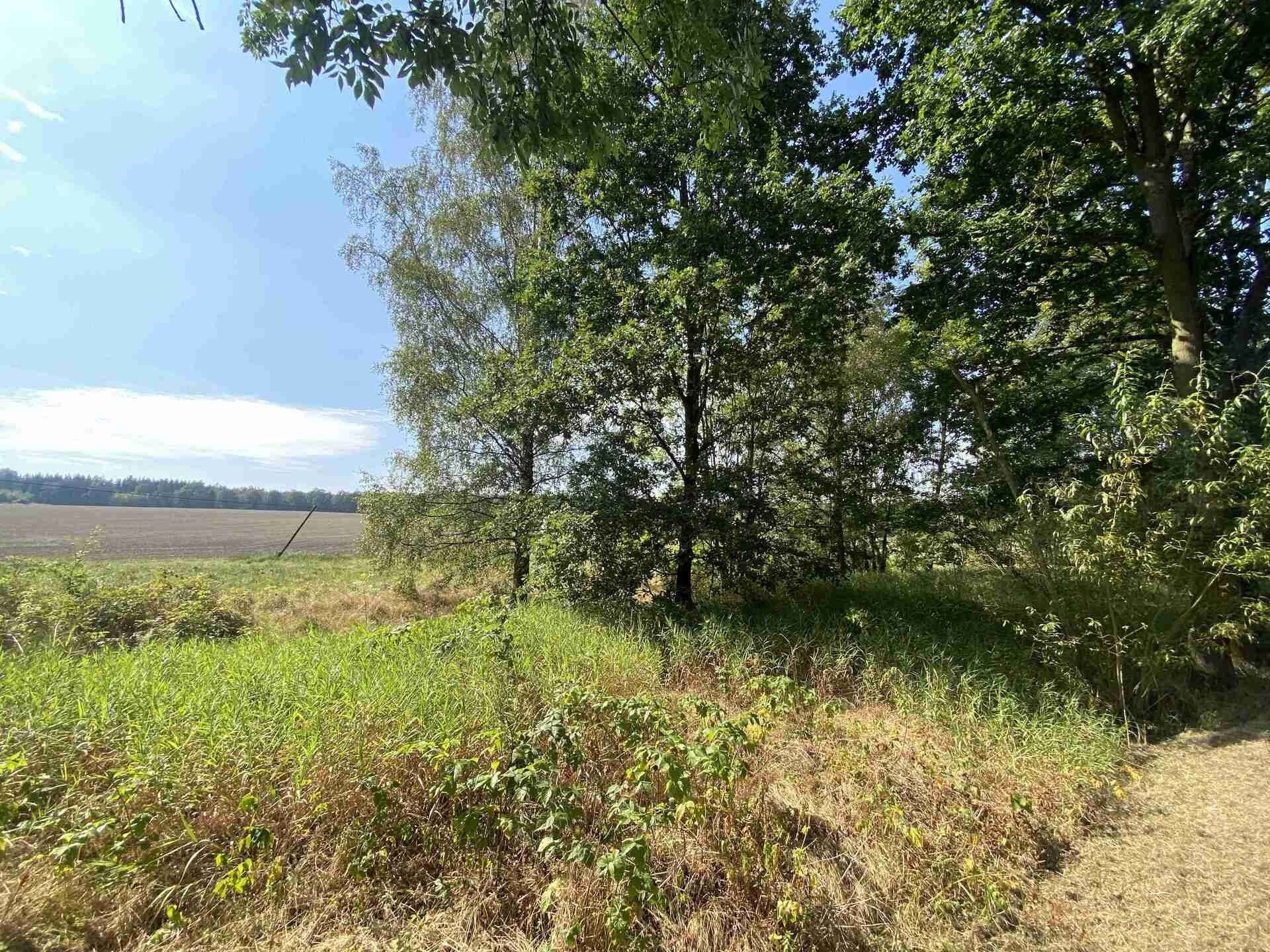 Prodej nemovitosti 200 m² - foto 4