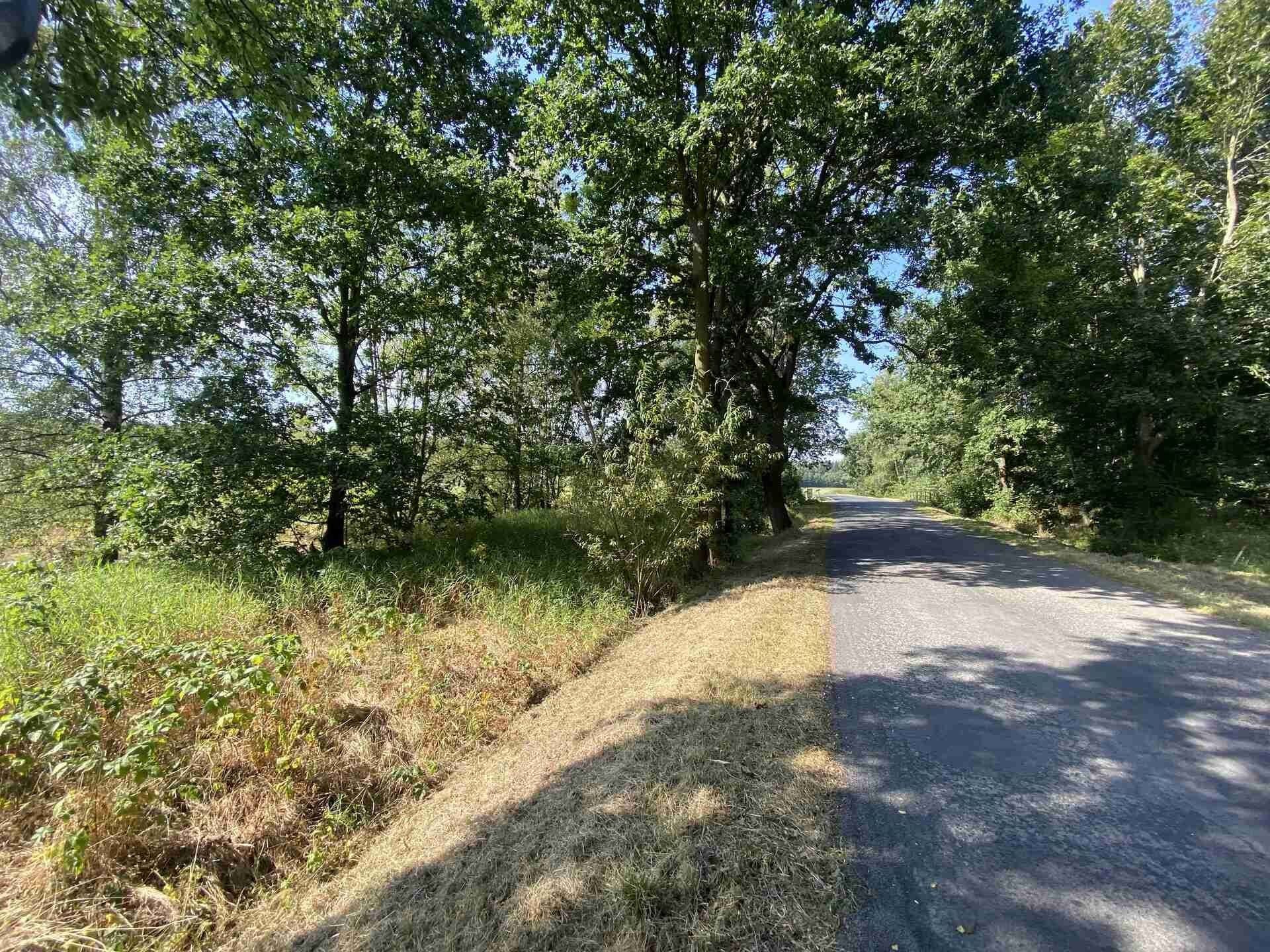 Prodej nemovitosti 200 m² - foto 1