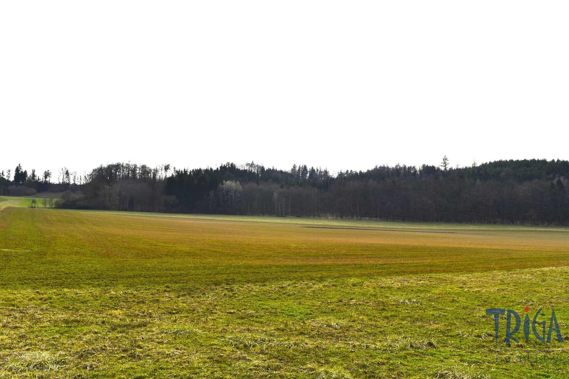 Prodej pozemku 6536 m² - foto 17