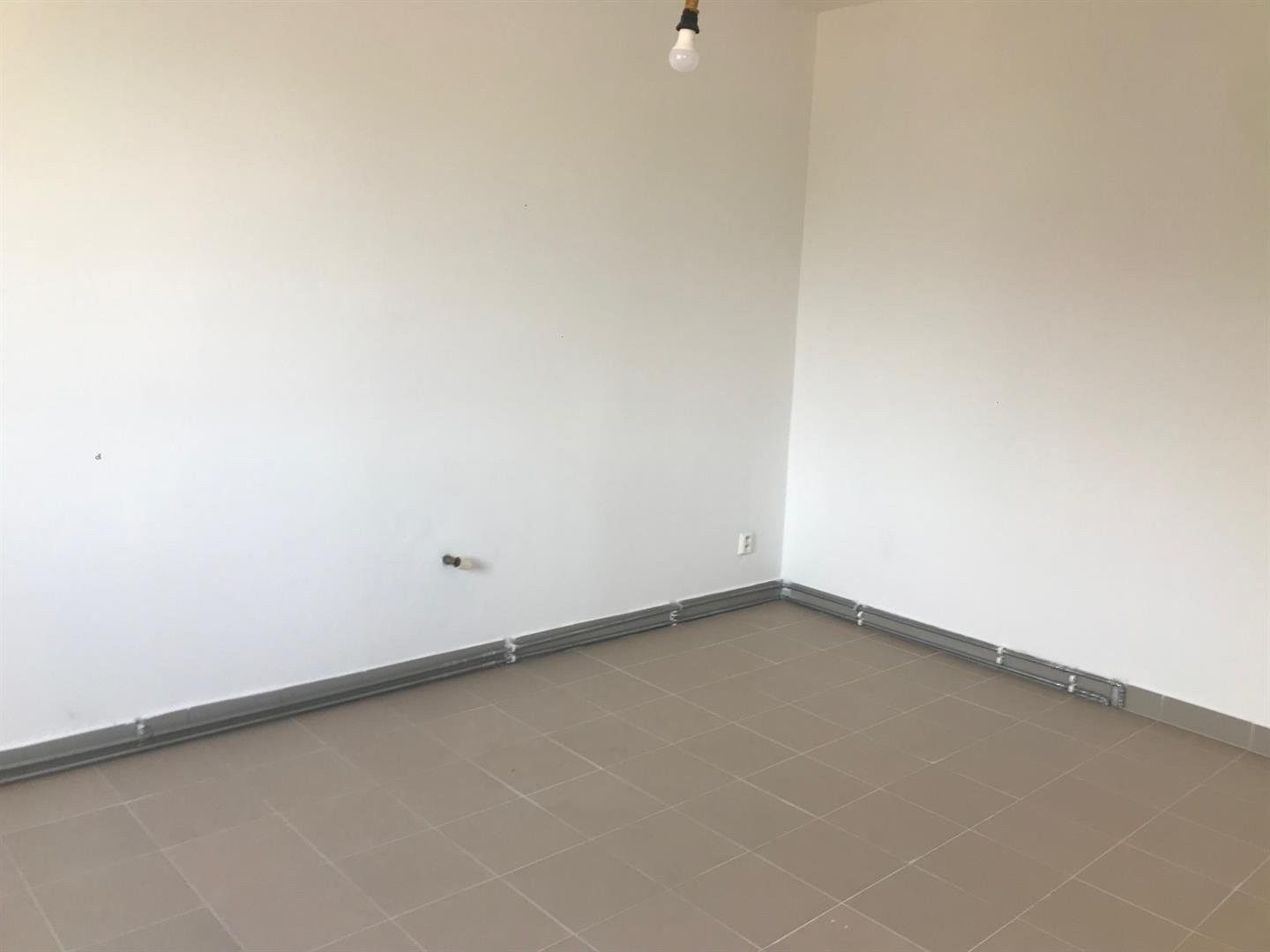 Pronájem nemovitosti 237 m² - foto 5