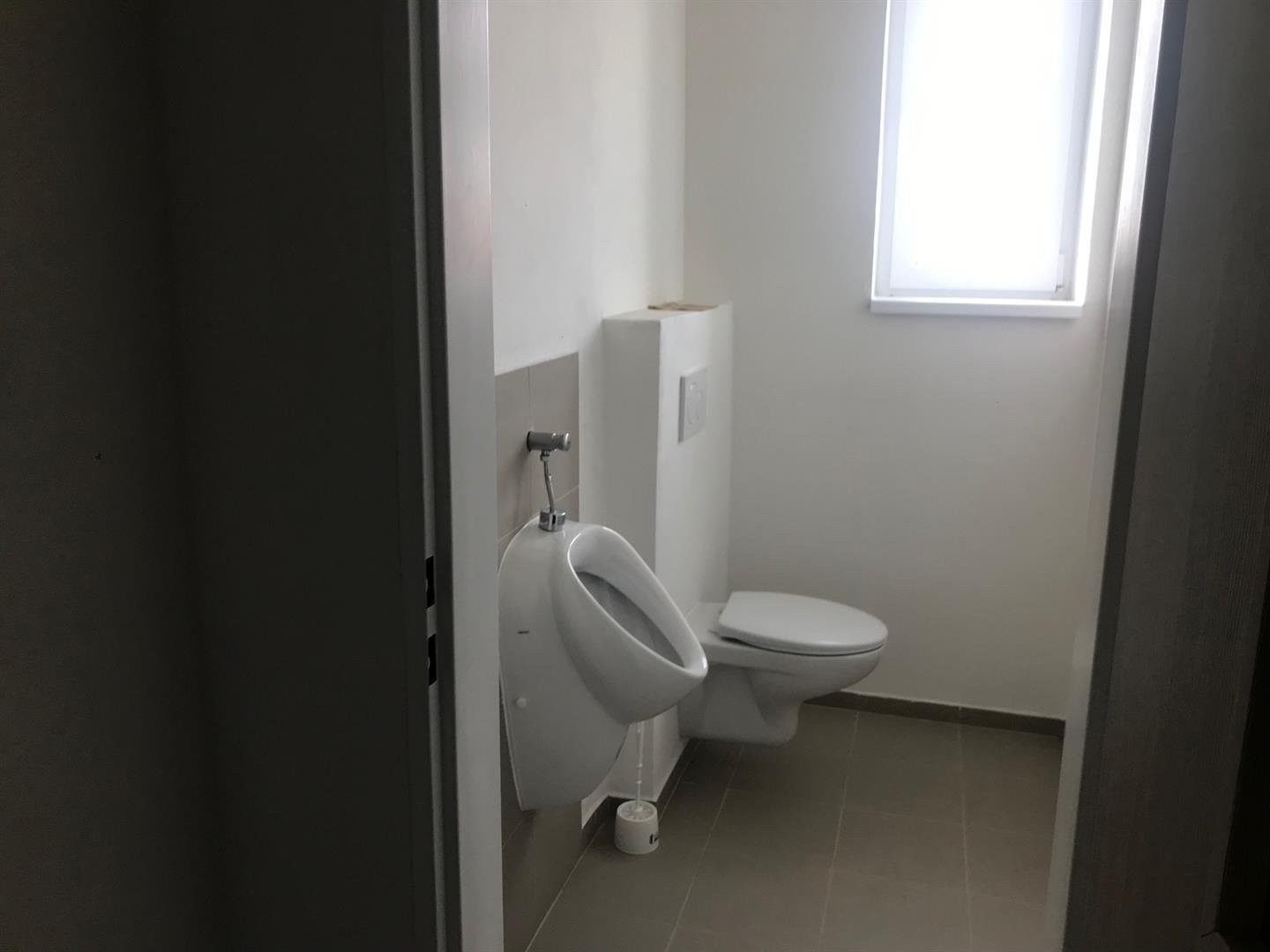 Pronájem nemovitosti 237 m² - foto 7