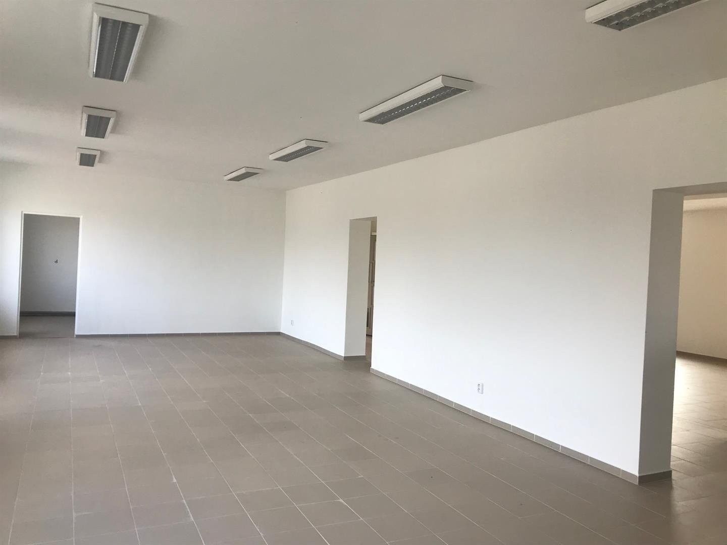 Pronájem nemovitosti 237 m² - foto 3