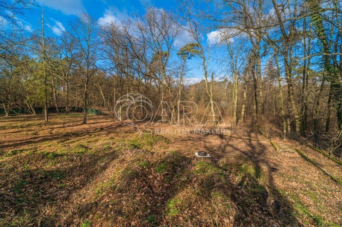 Prodej pozemku 6090 m² - foto 5