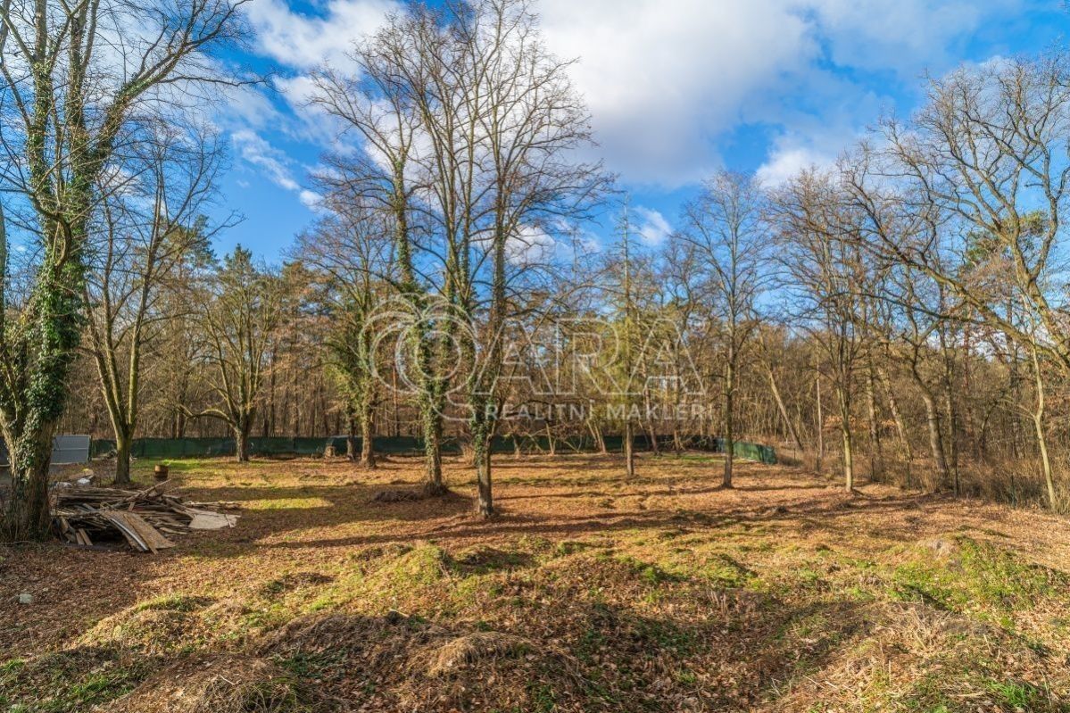 Prodej pozemku 6090 m² - foto 6
