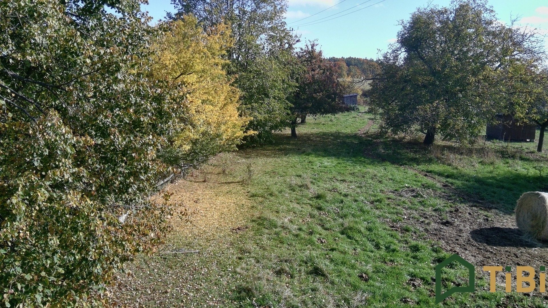 Prodej pozemku 5140 m² - foto 5