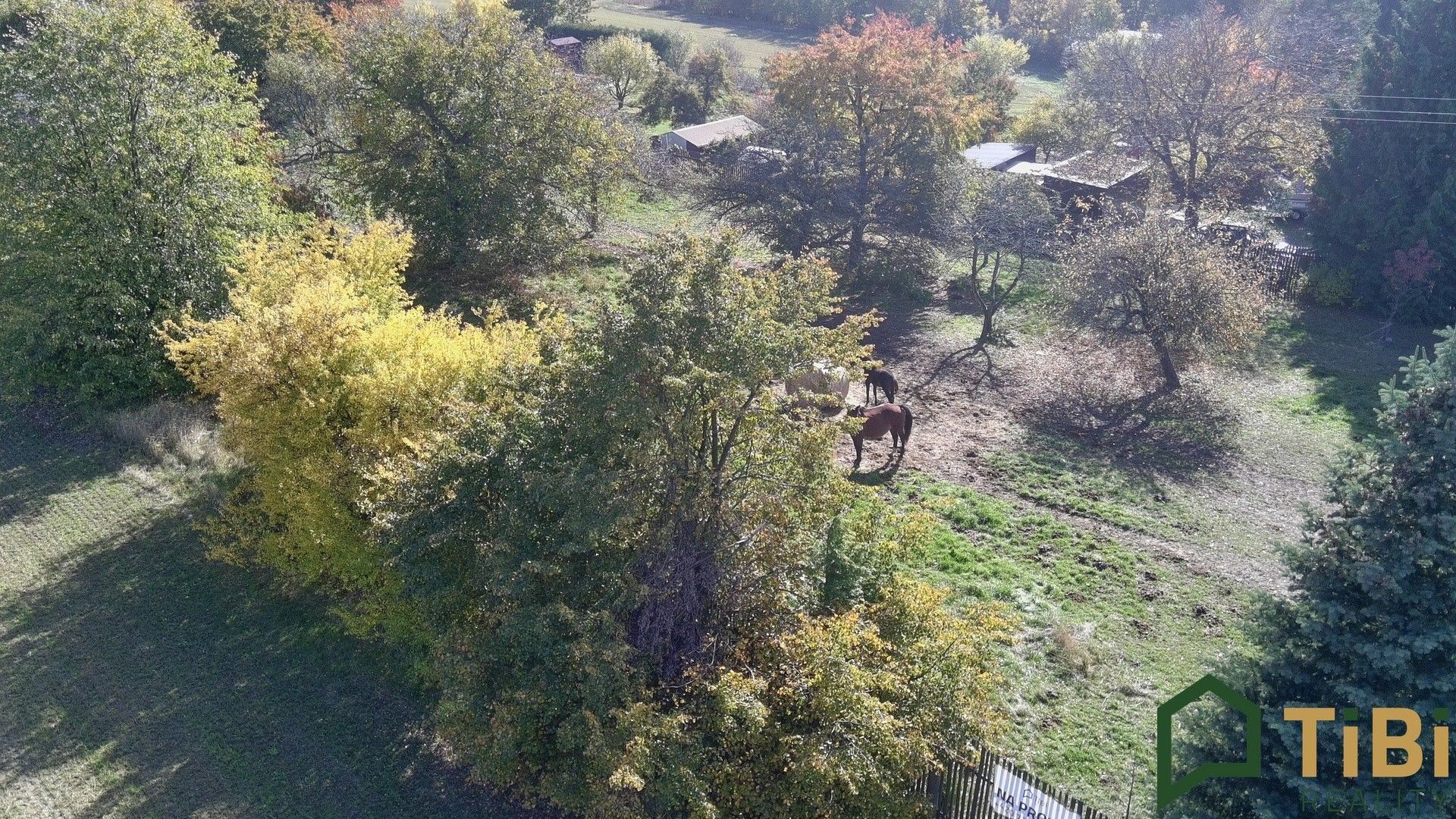 Prodej pozemku 5140 m² - foto 6