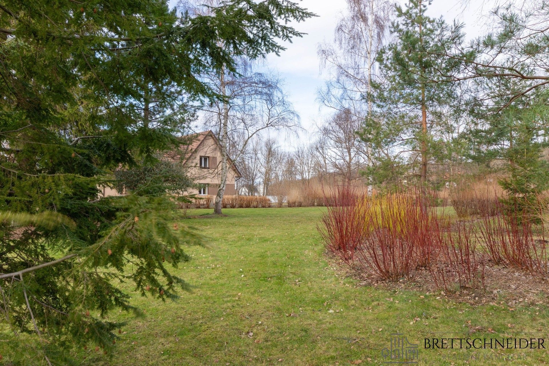 Prodej pozemku 3160 m² - foto 23