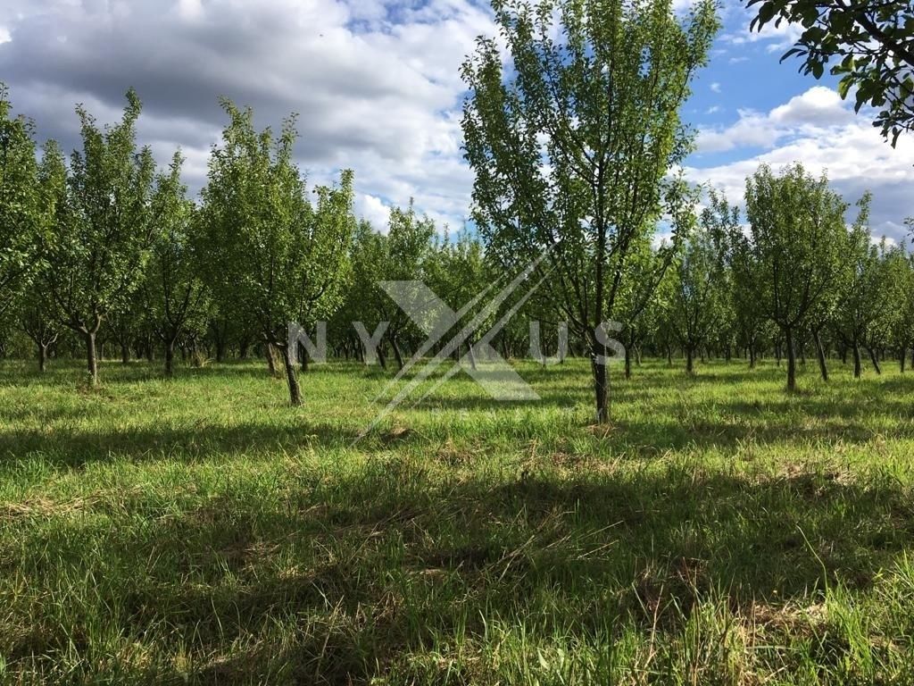 Prodej nemovitosti 123793 m² - foto 7