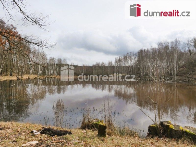 Prodej nemovitosti 3974 m² - foto 6