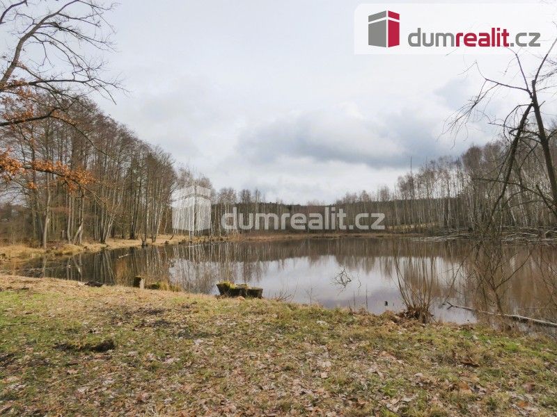 Prodej nemovitosti 3974 m² - foto 7