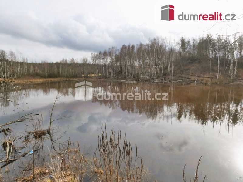 Prodej nemovitosti 3974 m² - foto 8