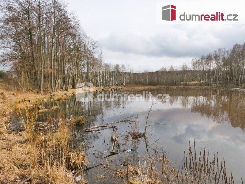 Prodej nemovitosti 3974 m² - foto 9