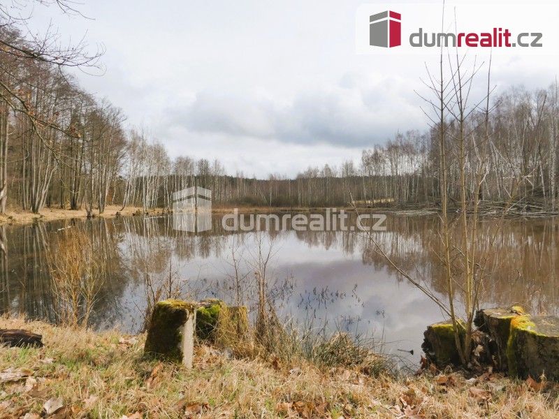 Prodej nemovitosti 3974 m² - foto 10