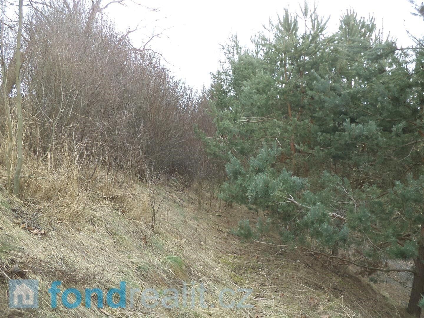 Prodej nemovitosti 683 m² - foto 2