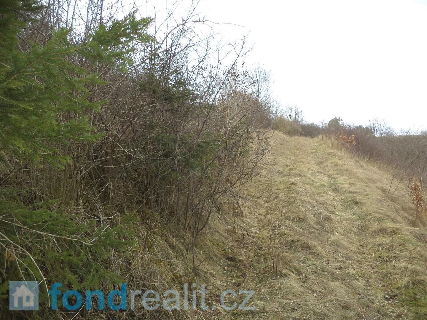 Prodej nemovitosti 683 m² - foto 4