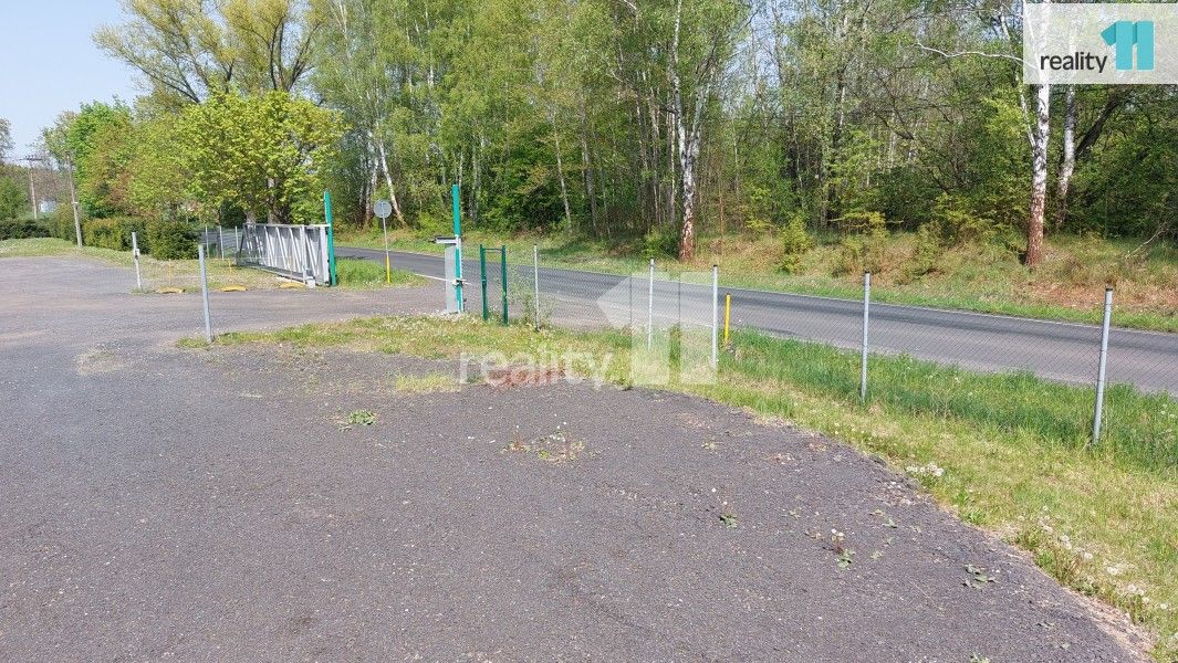 Pronájem nemovitosti 1500 m² - foto 4