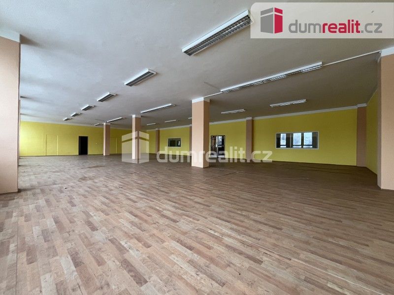Pronájem komerčního prostoru 55 m² - foto 11