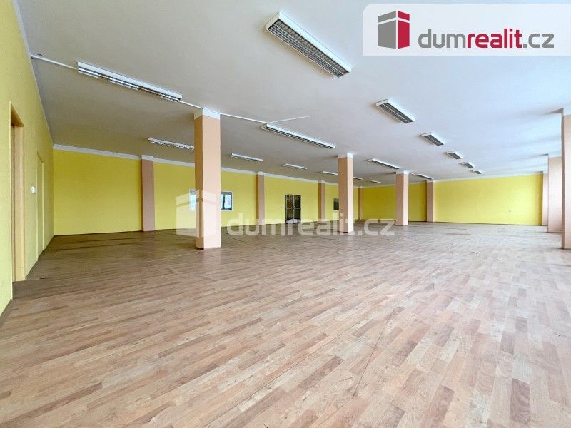 Pronájem komerčního prostoru 55 m² - foto 12