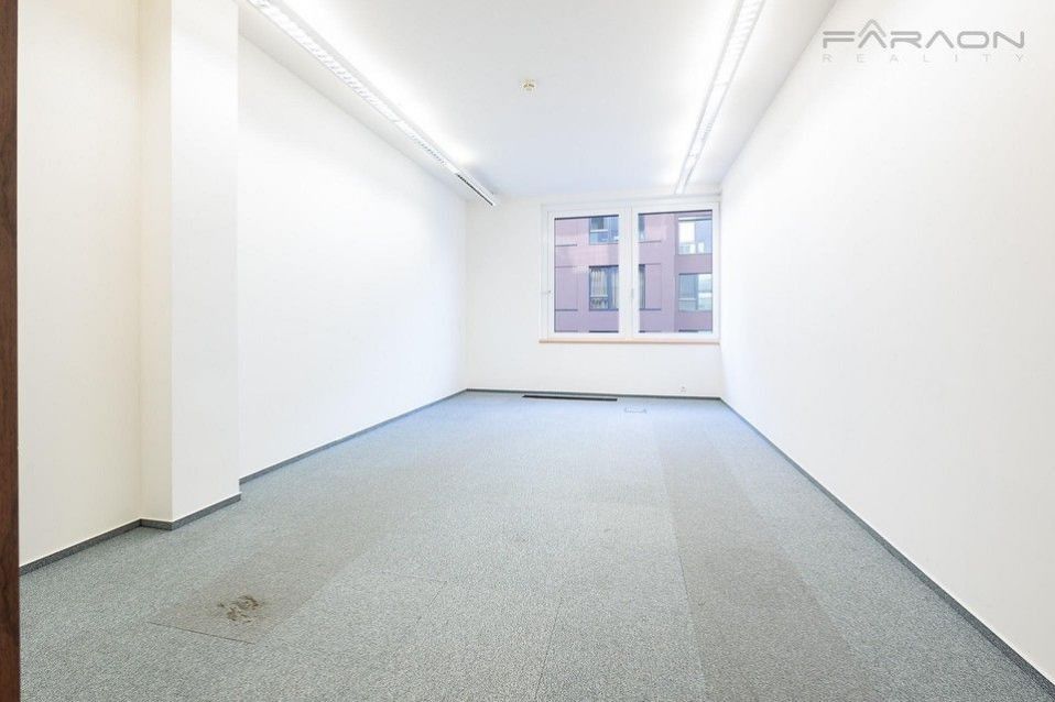 Pronájem komerčního prostoru 239 m² - foto 6