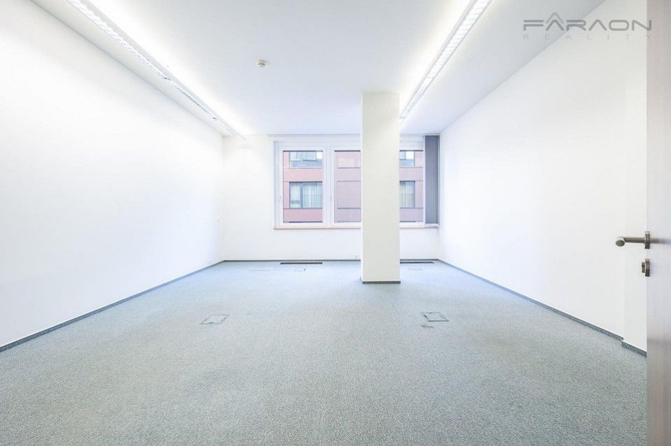Pronájem komerčního prostoru 239 m² - foto 7