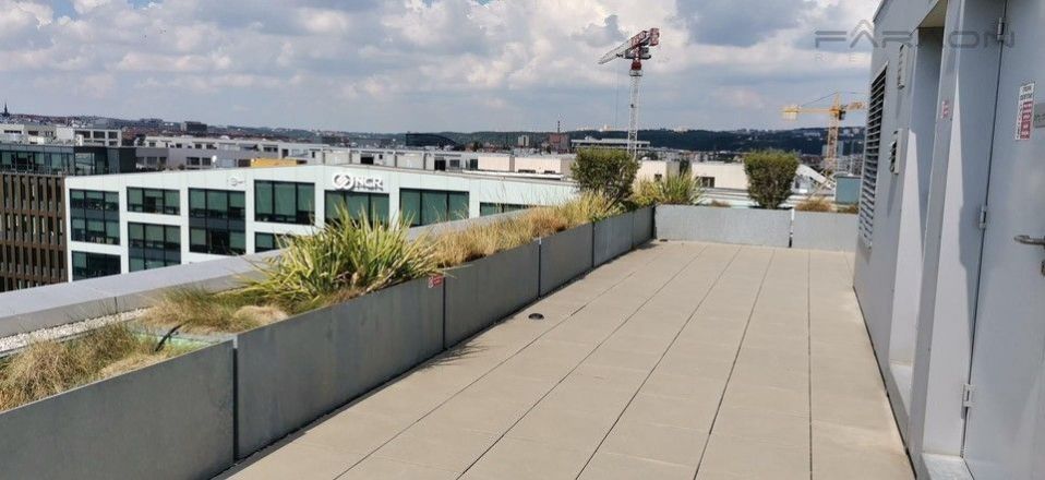 Pronájem komerčního prostoru 239 m² - foto 11